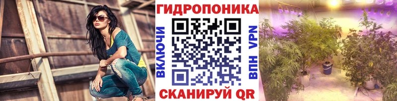 закладки  Севастополь  Конопля индика 